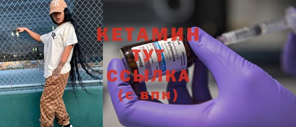 индика Новодвинск